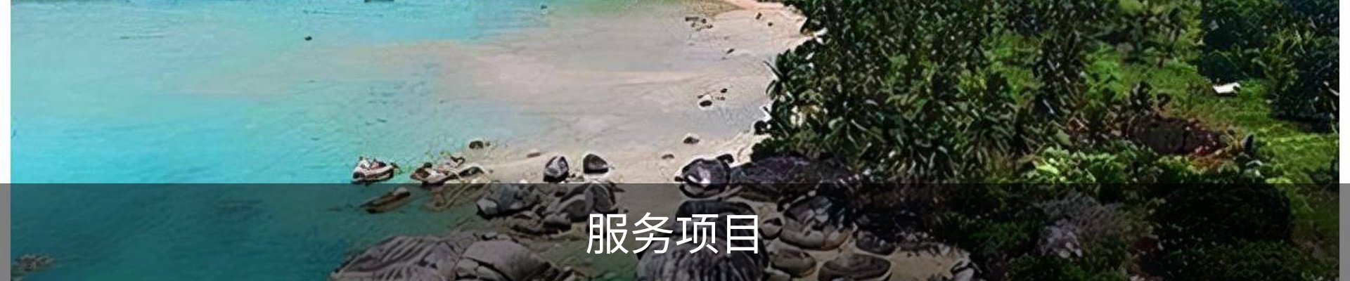 服务项目